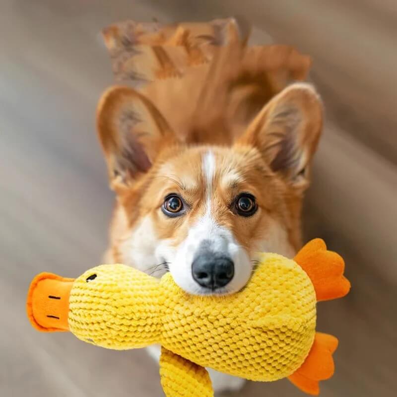 Plush Duck Toy for Pets
