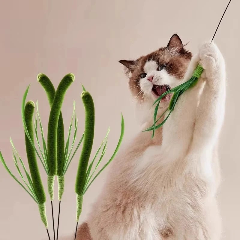 Tail Grass | Cat Interactive Toy