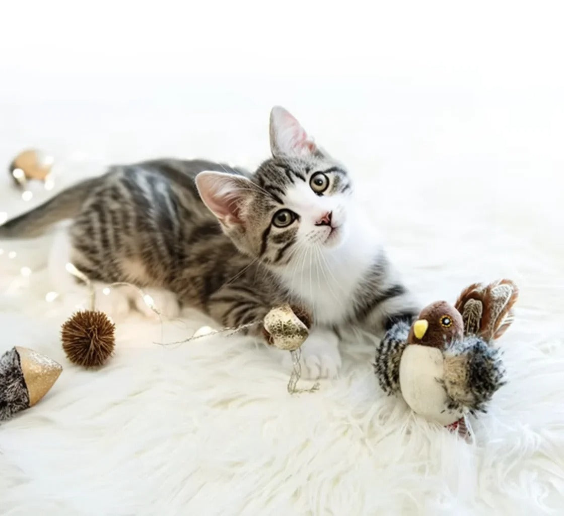 Interactive Sparrow Shaped Cat Toy