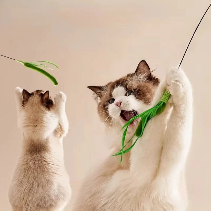 Tail Grass | Cat Interactive Toy