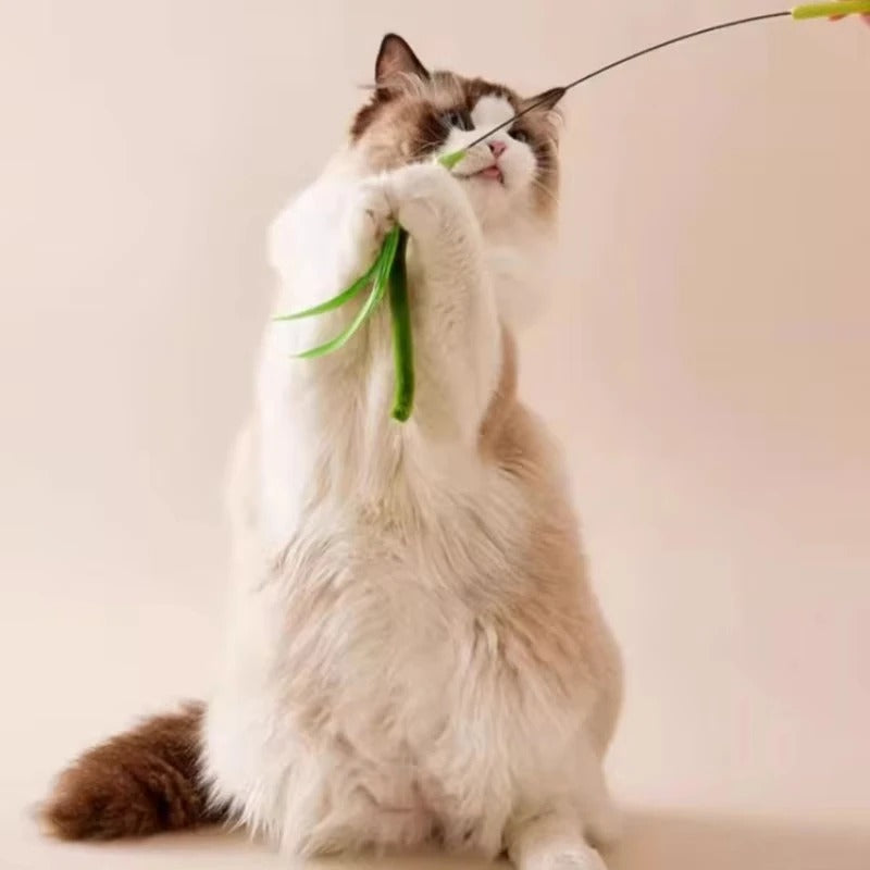 Tail Grass | Cat Interactive Toy