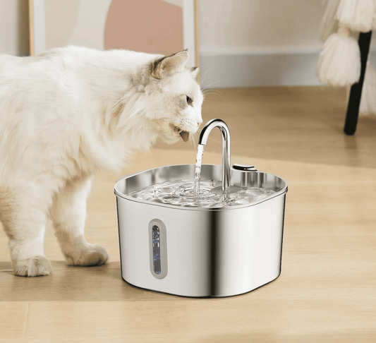 Stainless Steel Cat Water Fountain