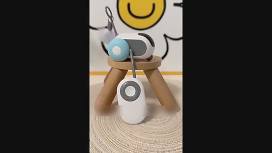 Car-Shaped Remote Control Electric Cat Toys