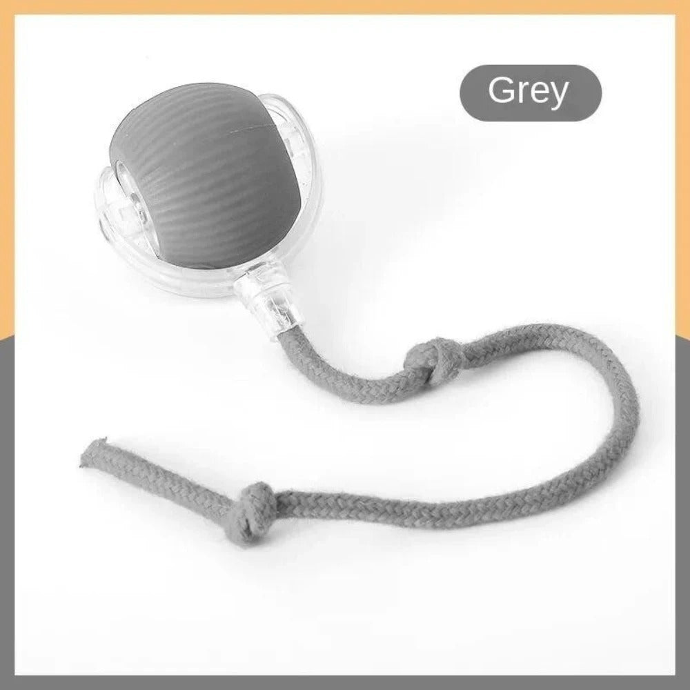 New Cat Interactive Ball Toy