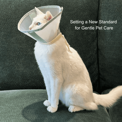 Stress-Free Recovery Collar