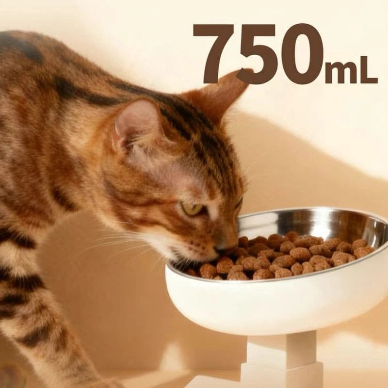Natural Posture Elevated Pet Bowl