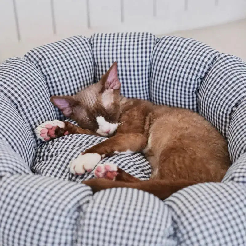 CozyCurl Convertible Pet Bed
