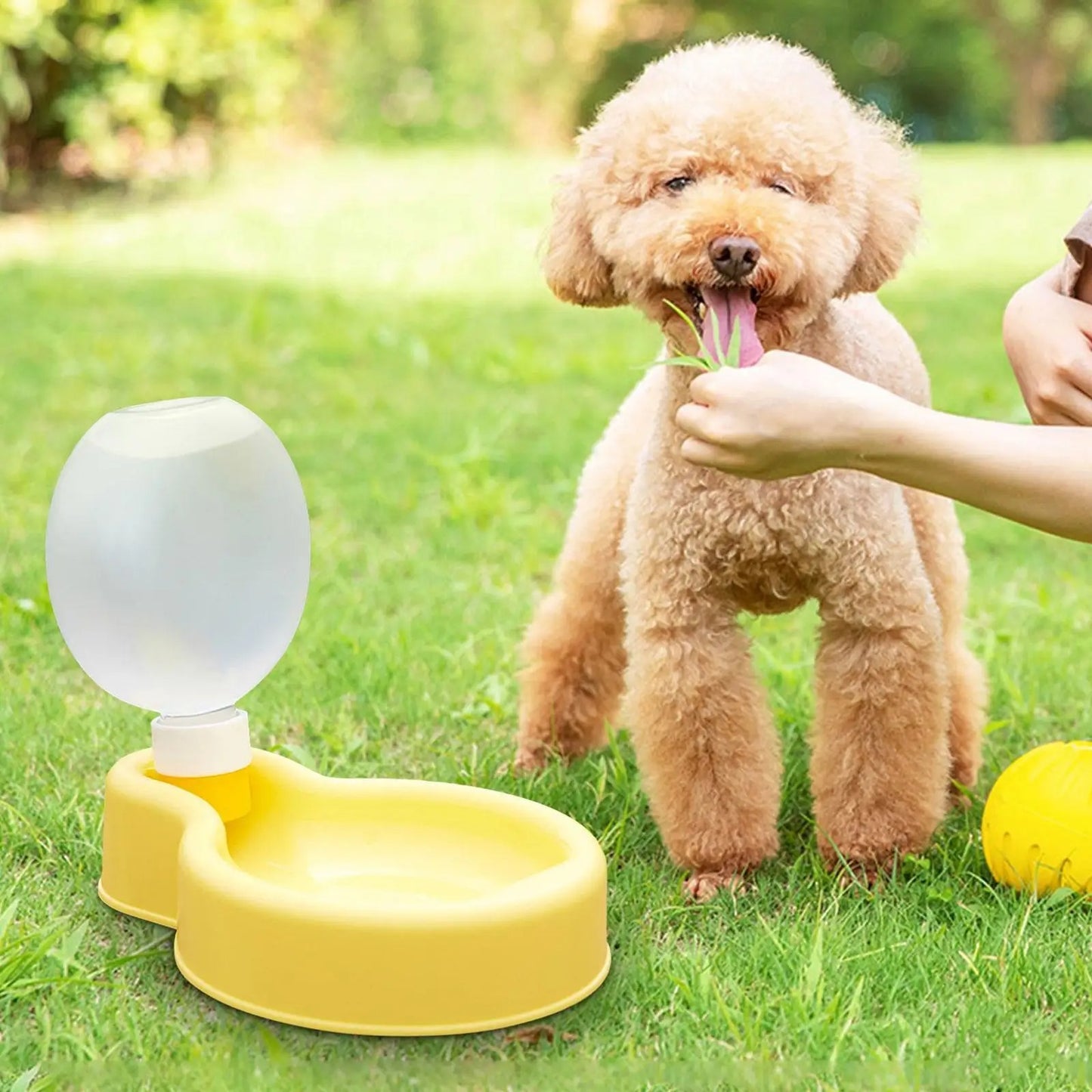 Cute Portable Pet Water Bottle
