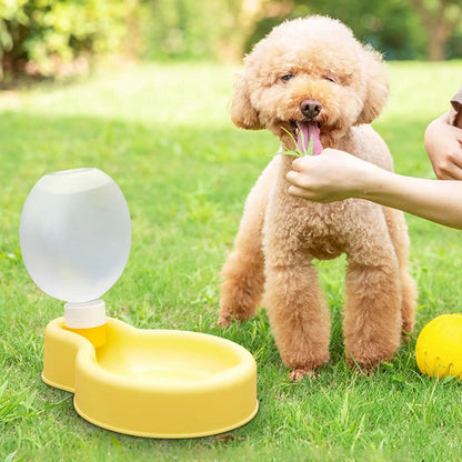 Cute Portable Pet Water Bottle