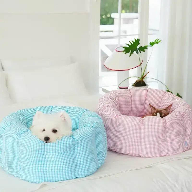 CozyCurl Convertible Pet Bed