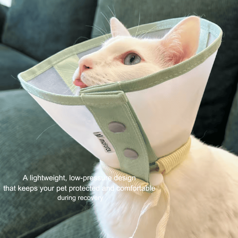 Stress-Free Recovery Collar