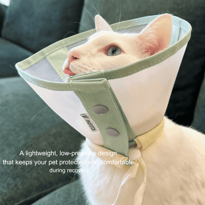 Stress-Free Recovery Collar