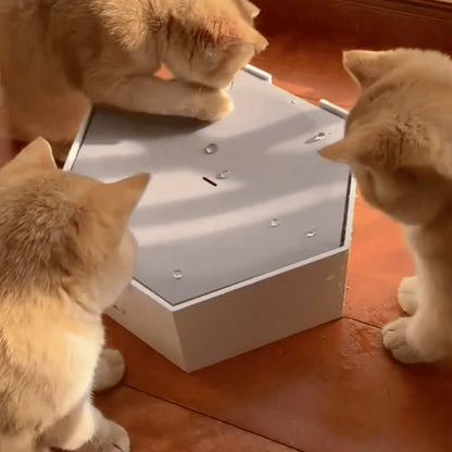 Interactive Water Drop Cat Toy