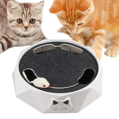 Smart Interactive Mouse Chase Toy