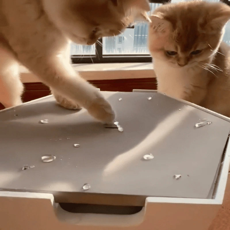 Interactive Water Drop Cat Toy