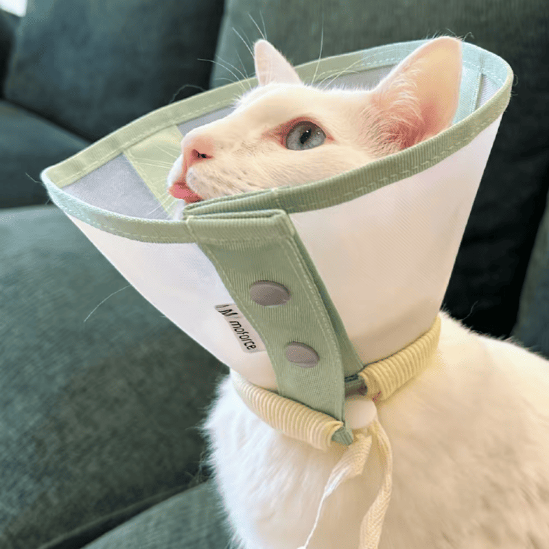 Stress-Free Recovery Collar