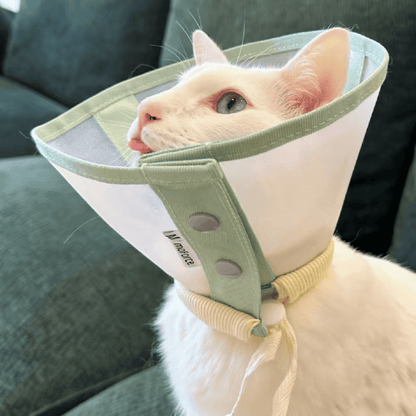 Stress-Free Recovery Collar