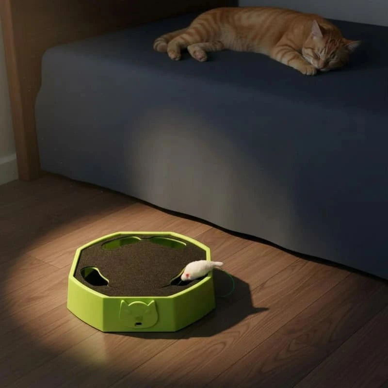 Smart Interactive Mouse Chase Toy