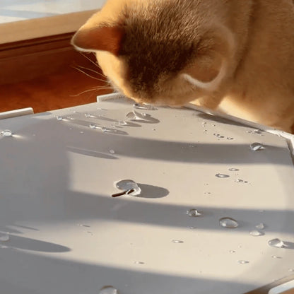 Interactive Water Drop Cat Toy