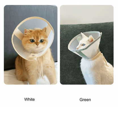 Stress-Free Recovery Collar