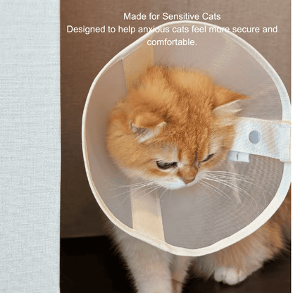 Stress-Free Recovery Collar