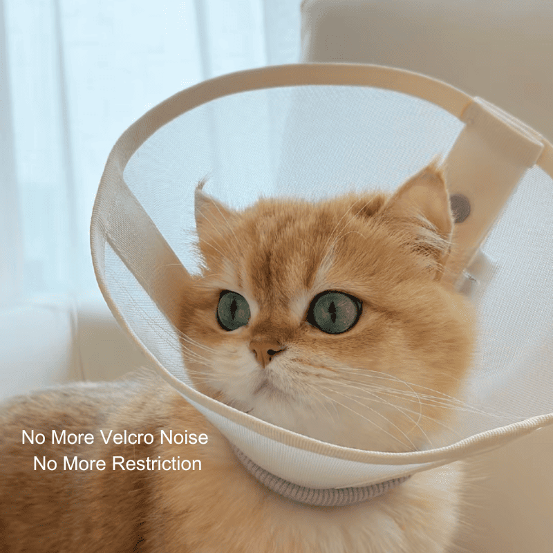 Stress-Free Recovery Collar