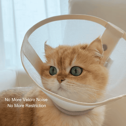 Stress-Free Recovery Collar