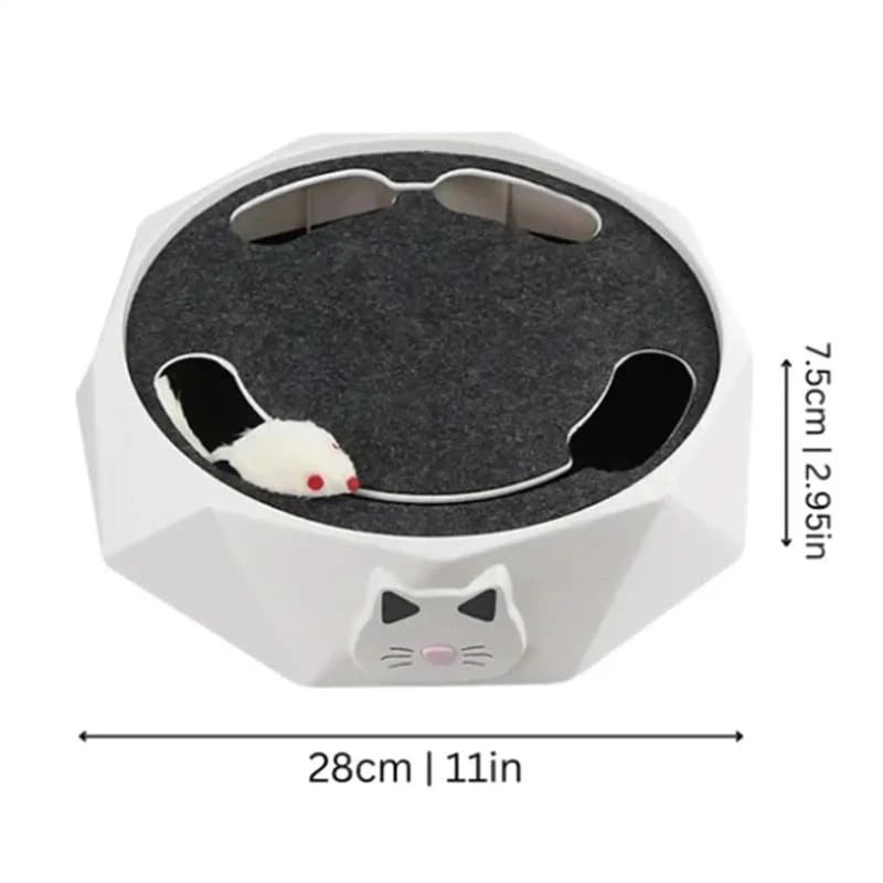Smart Interactive Mouse Chase Toy