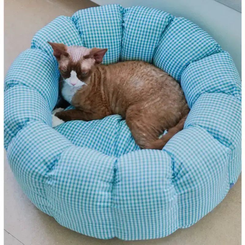 CozyCurl Convertible Pet Bed