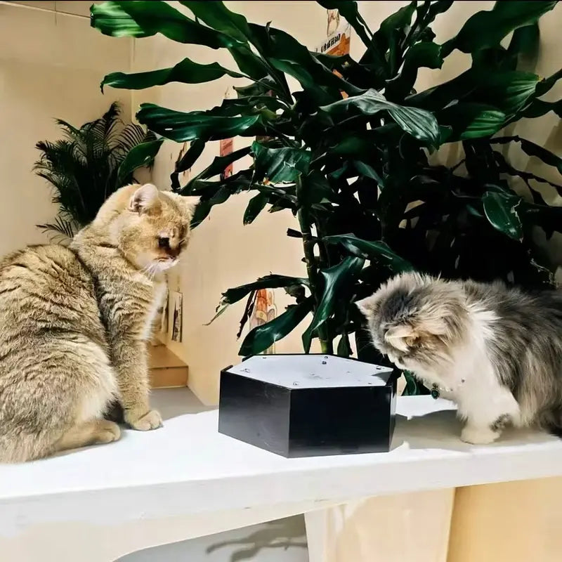 Interactive Water Drop Cat Toy