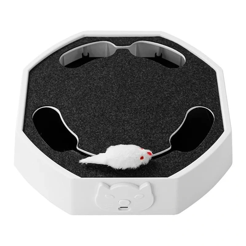 Smart Interactive Mouse Chase Toy