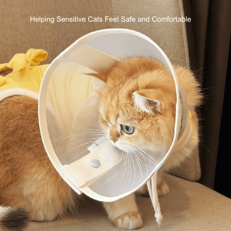 Stress-Free Recovery Collar