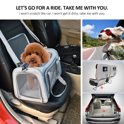Pet Carrier Bag | Soft Side Pet Travel Bag