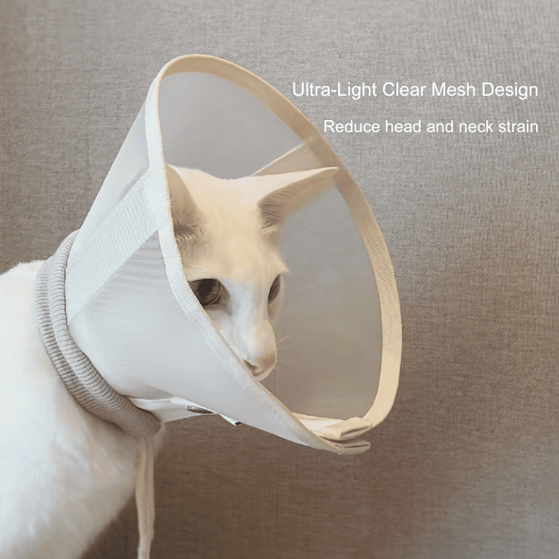 Stress-Free Recovery Collar