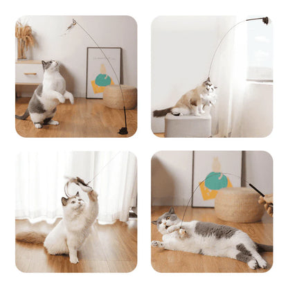 Interactive Bird Simulation Cat Toy Set
