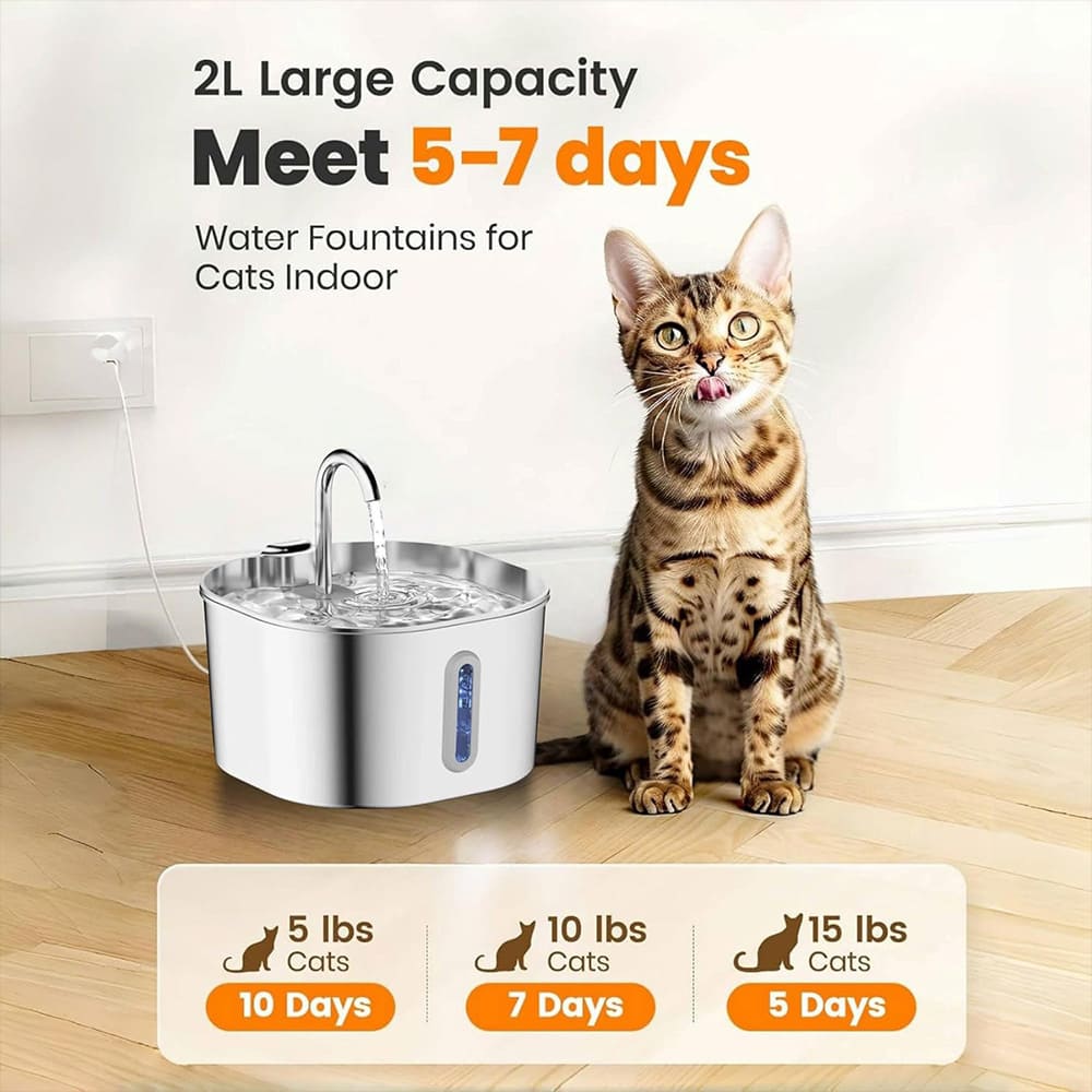 Stainless Steel Cat Water Fountain