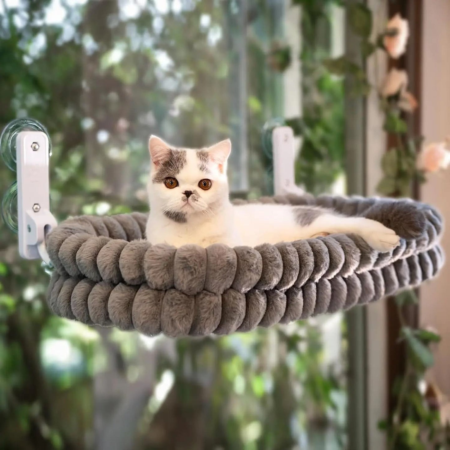 Cat Window Hammock
