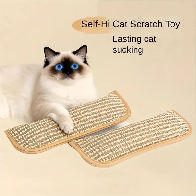 Catnip Pillow Toy