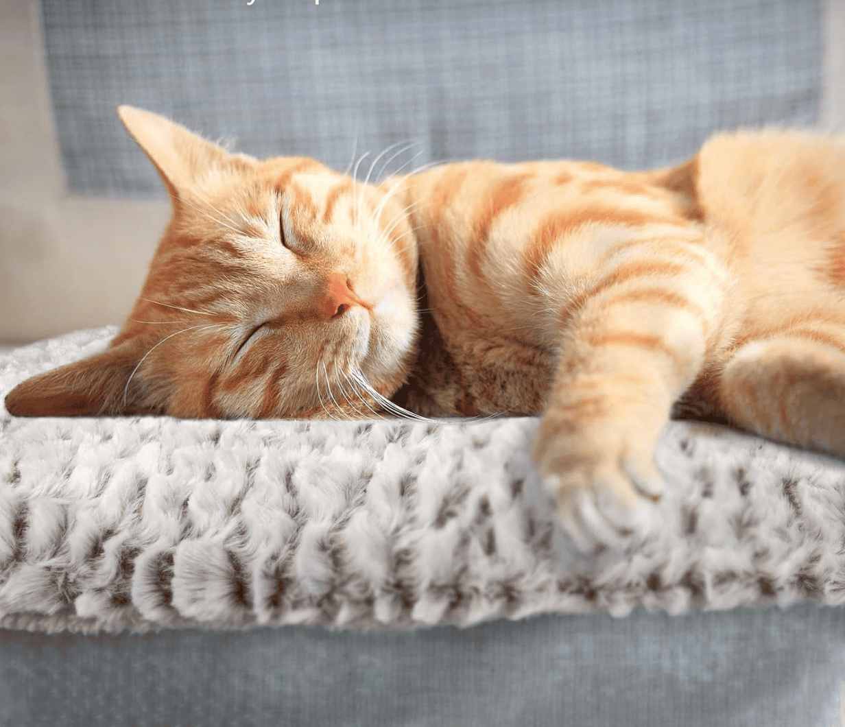 Double-Sided Warming Pet Pad