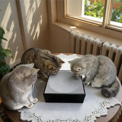 Interactive Water Drop Cat Toy