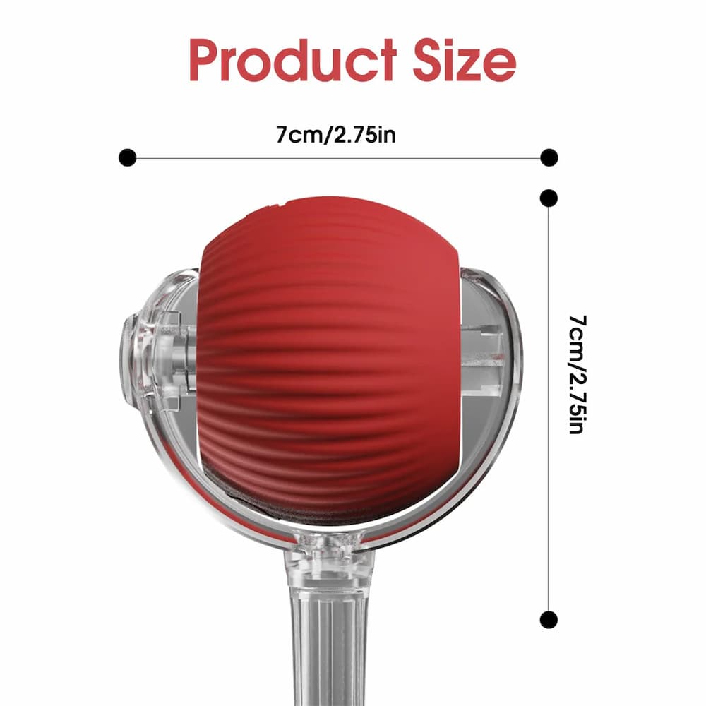 New Cat Interactive Ball Toy