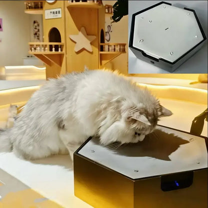 Interactive Water Drop Cat Toy