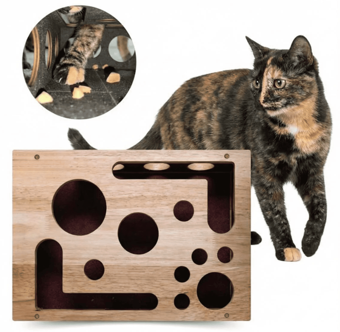 Cat Nail File Enrichment Box