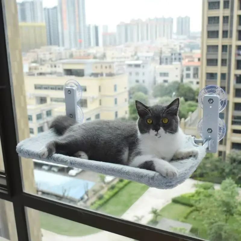 Cat Window Hammock