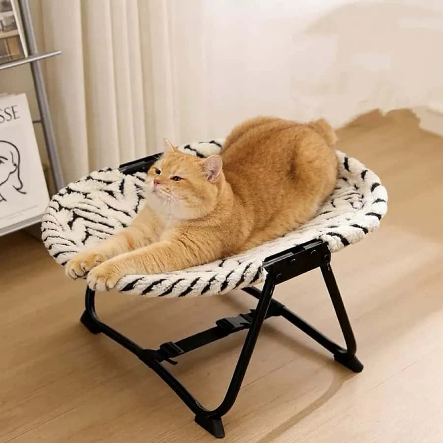 Foldable Elevated Pet Bed