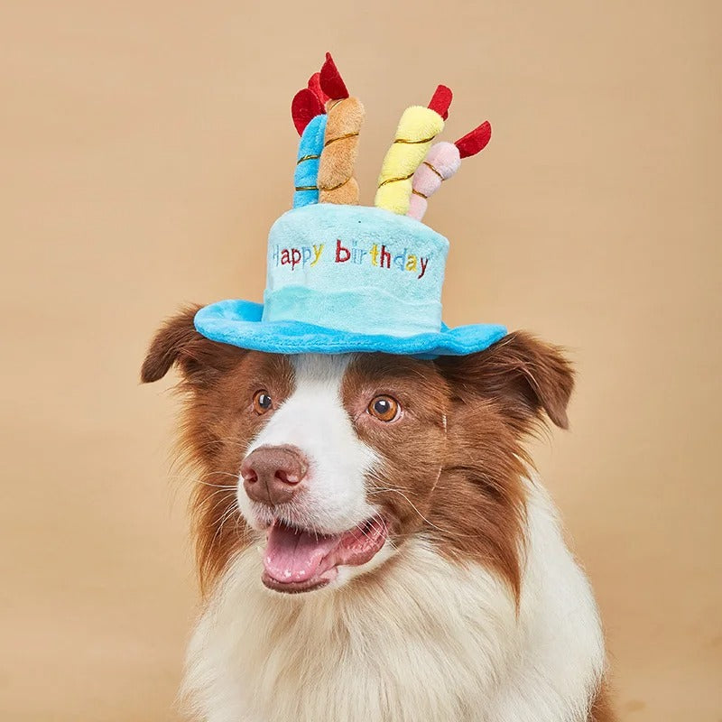 Creative Plush Pet Decoration Hat