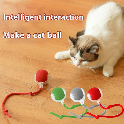 New Cat Interactive Ball Toy