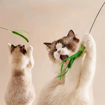 Tail Grass | Cat Interactive Toy