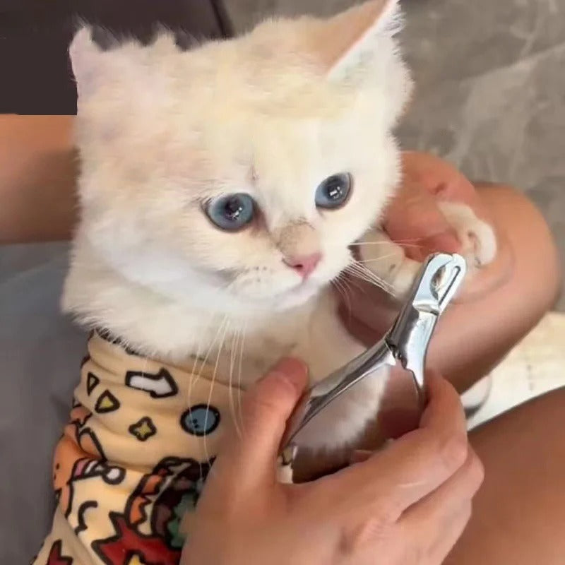 Adjustable Cat Wrap