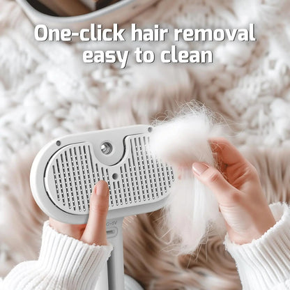 Pet Spray Hair Brushing Comb